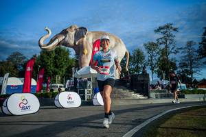 BIB: 
                            <button type="button" onclick="openModal(26541577)" class="btn btn-primary btn-sm float-right btn-popup" data-toggle="modal" data-target=".modal-high-quality">
                        <i class="fas fa-shopping-cart"></i> Add to Cart
                    </button>
                                            <button type="button" onclick="isThisMe(26541577, true)" class="btn btn-success btn-sm float-right btn-popup btn-isme hidden" data-toggle="tooltip" data-placement="bottom" title="นี่คือรูปของคุณใช่ไหม คลิกที่นี่เพื่อเอาเข้าอัลบั้ม">
                        <i class="fas fa-plus"></i> Add to album
                    </button>
                    <button type="button" onclick="isThisMe(26541577, false)" class="btn btn-warning btn-sm float-right btn-popup btn-isnotme hidden">
                        <i class="fas fa-ban"></i> Remove from album
                    </button>